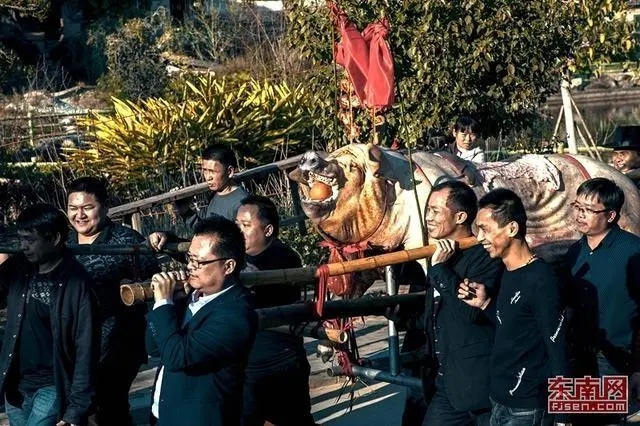 山重村举行“赛大猪”民俗活动 猪王重达653斤