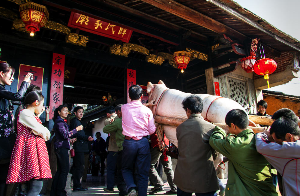 _MG_0566标题：赛大猪、祈丰年（组照）之二、时间：2010.02.21、地点：山重村、.jpg